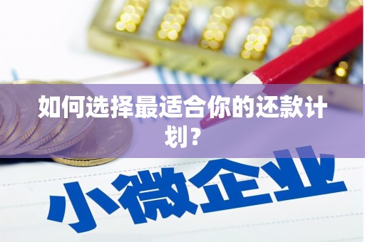 紫金如何选择最适合你的还款计划？