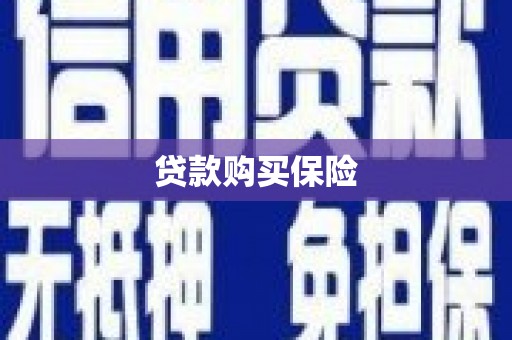 紫金贷款购买保险