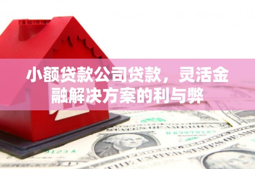 紫金小额贷款公司贷款，灵活金融解决方案的利与弊